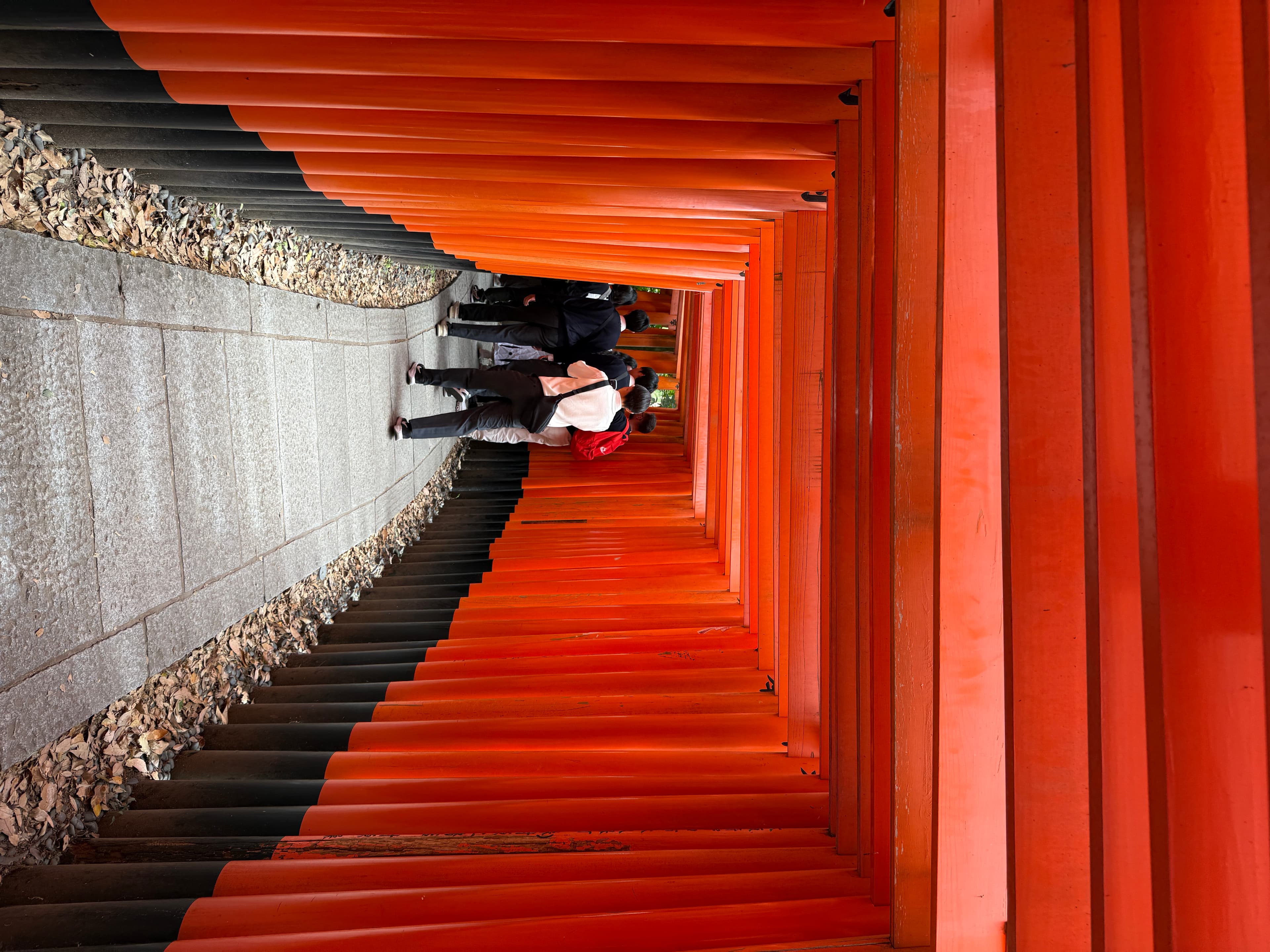 Fushimi Inari, Kyoto, Japan