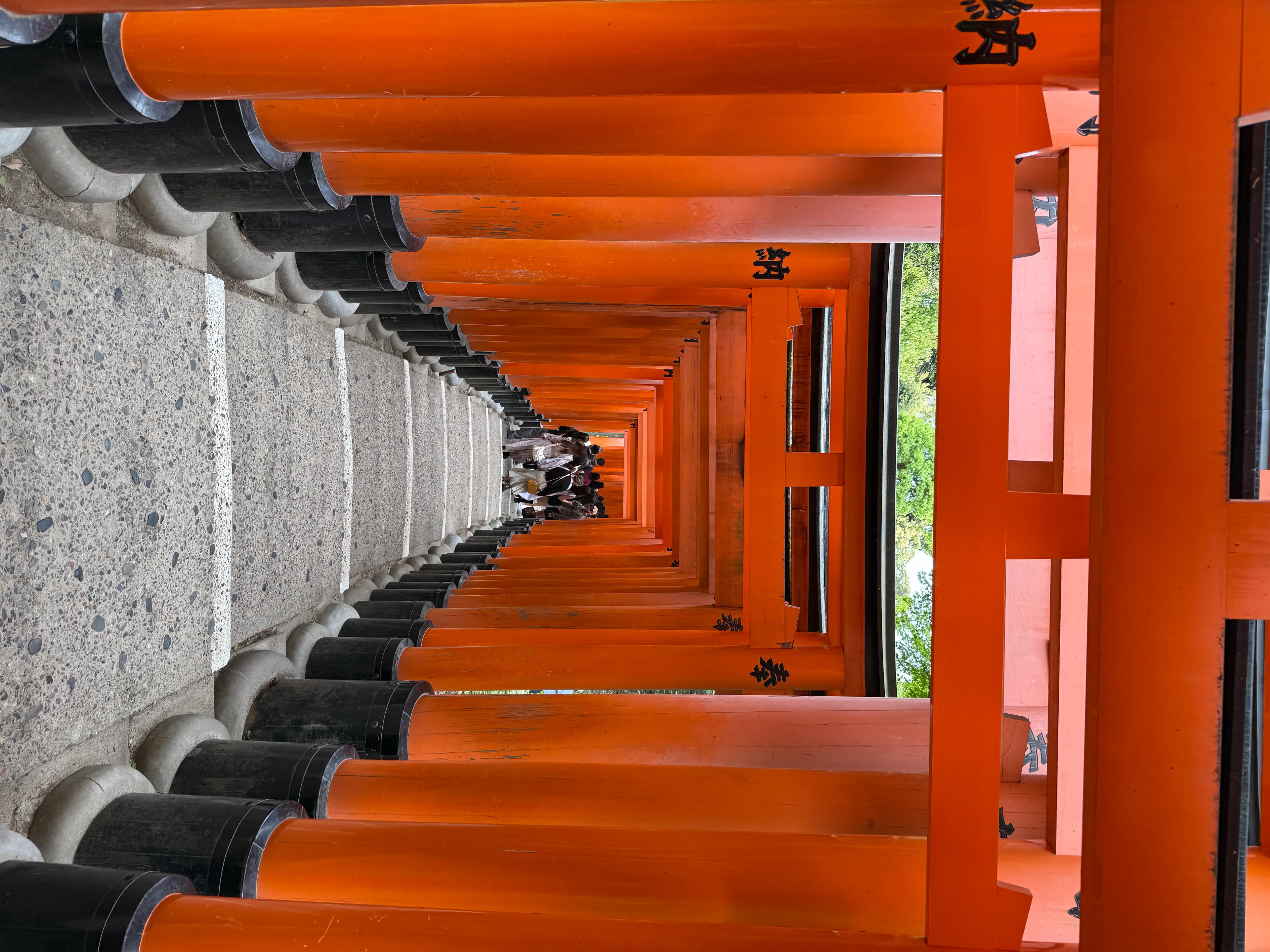 Fushimi Inari Torii Gates, Kyoto, Japan
